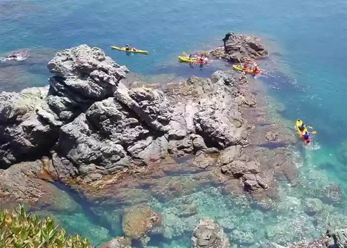 SK Kayak SK Kayak