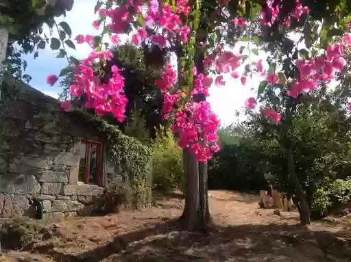 Cabaña Piedra Cabaña Piedra