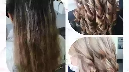 BIOTA ECOSALON