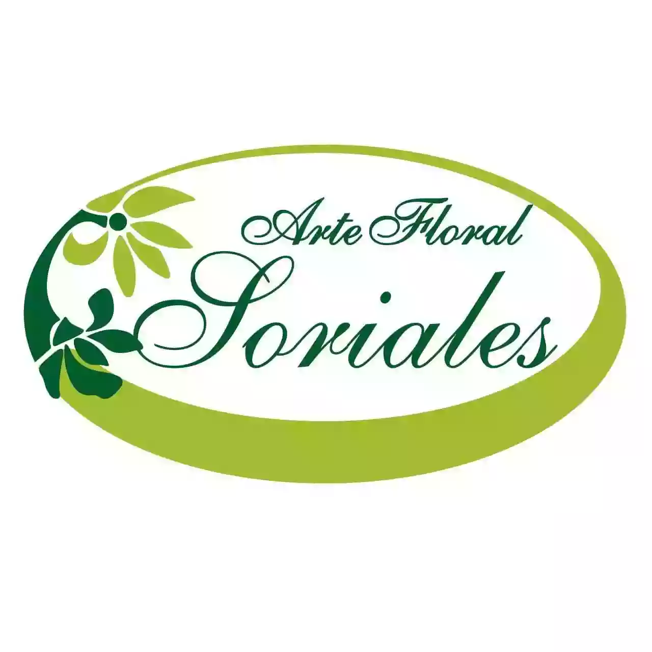 Arte Floral Soriales Arte Floral Soriales