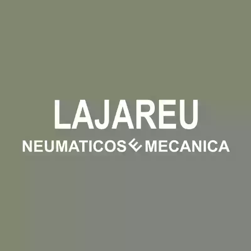 NEUMATICOS LAJAREU NEUMATICOS LAJAREU