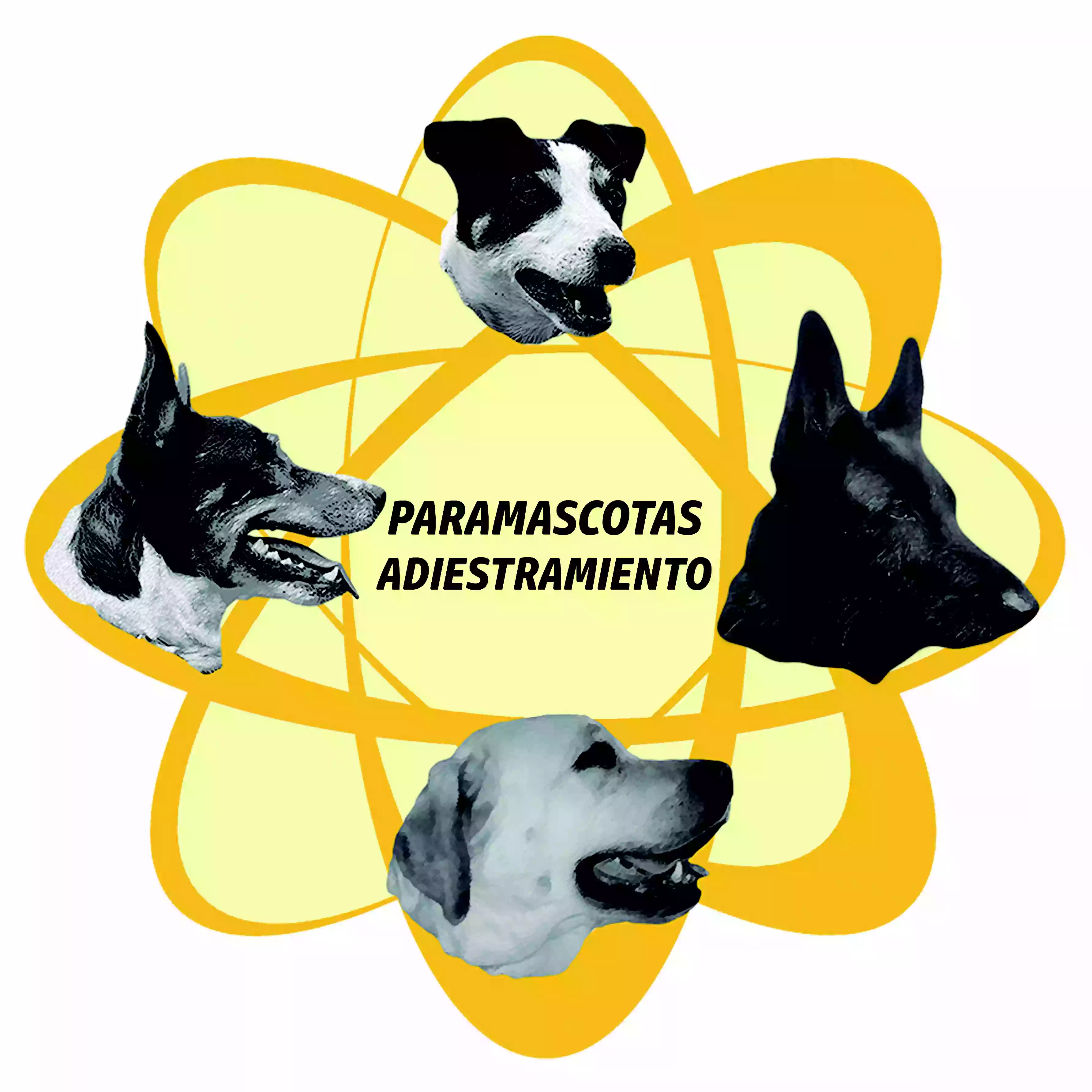 Paramascotas Paramascotas