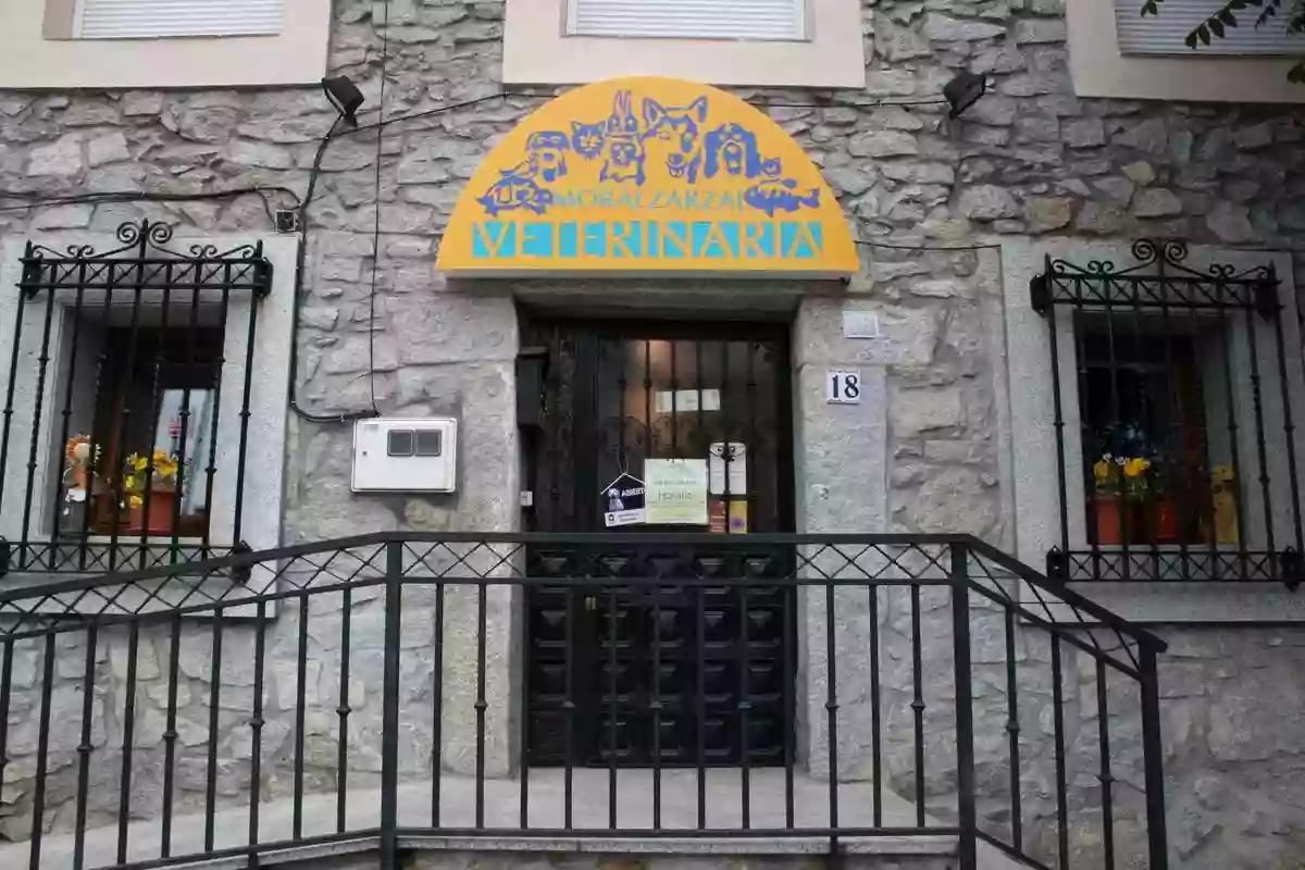 MORALZARZAL VETERINARIA MORALZARZAL VETERINARIA