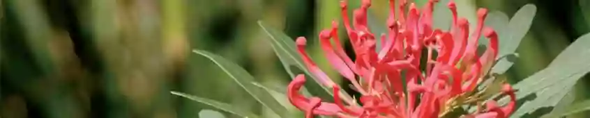 UN REGALO PARA EL ALMA UN REGALO PARA EL ALMA