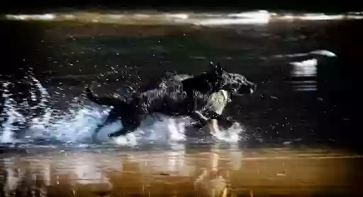 maskotak ortuella maskotak ortuella