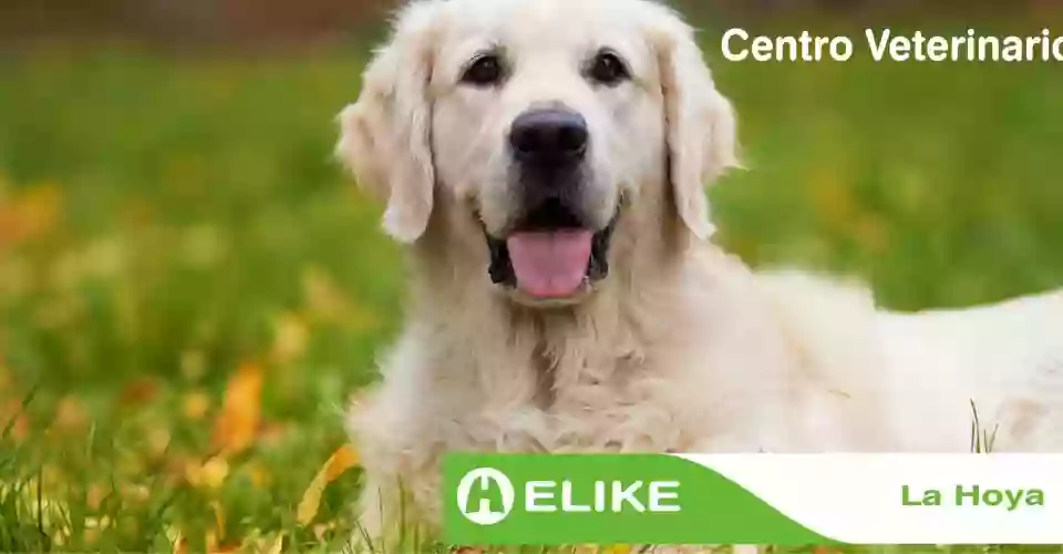 VETERINARIA HELIKE VETERINARIA HELIKE