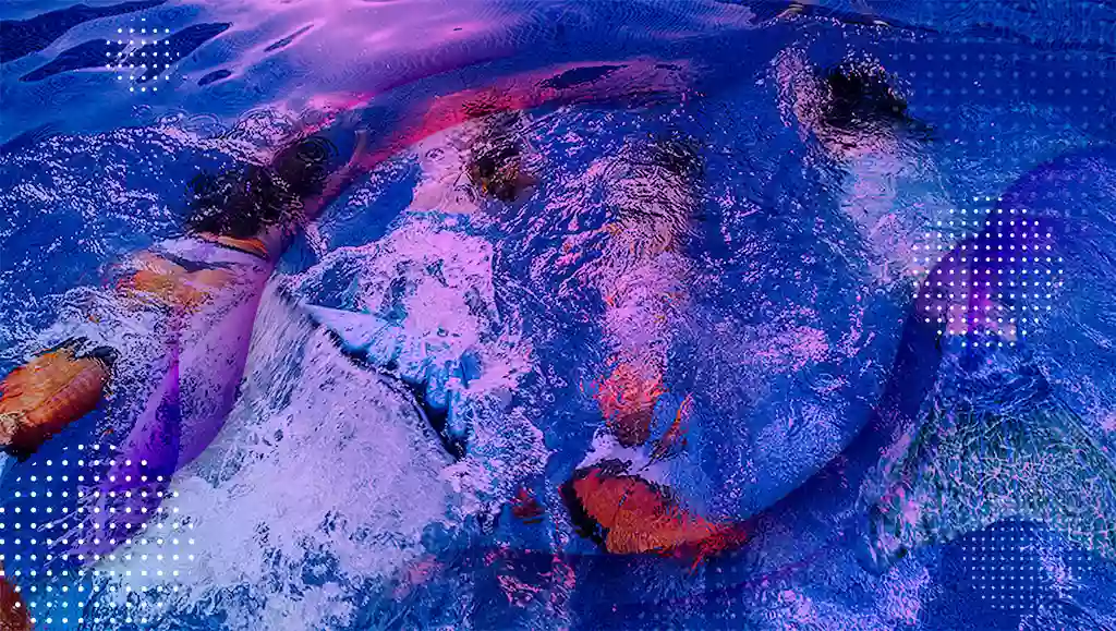 Glu Sirenas Glu Sirenas