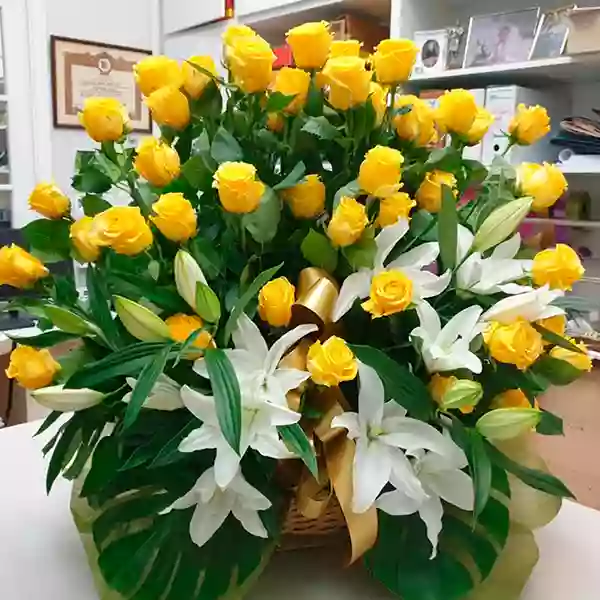 Flores Amanda Flores Amanda