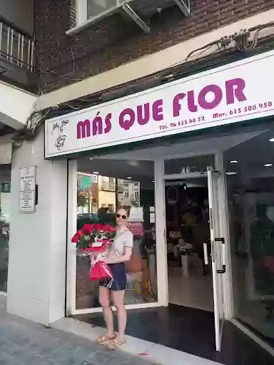 Masqueflor Masqueflor