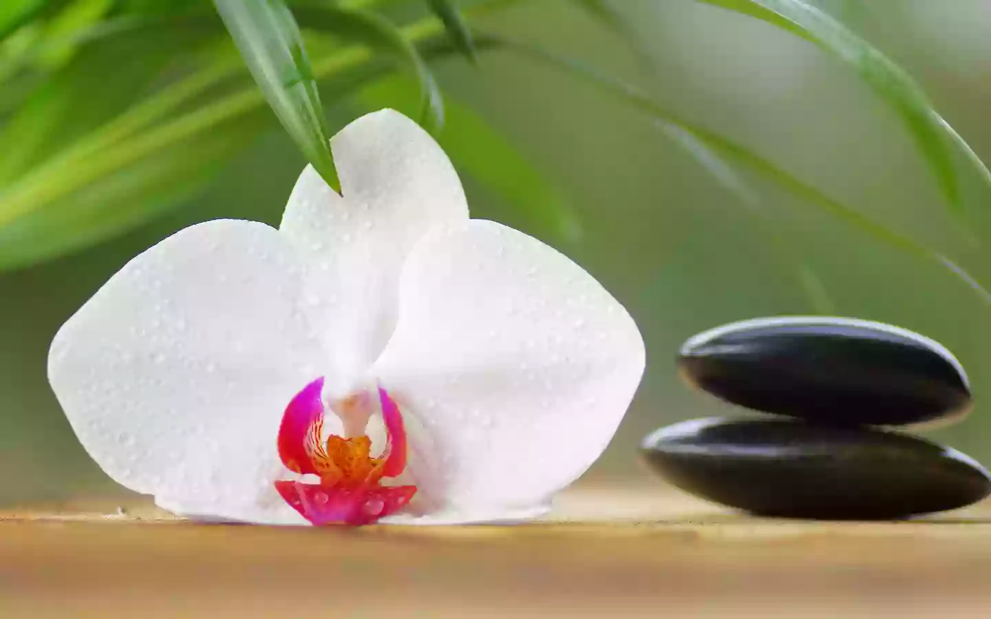Harmony Spa Harmony Spa