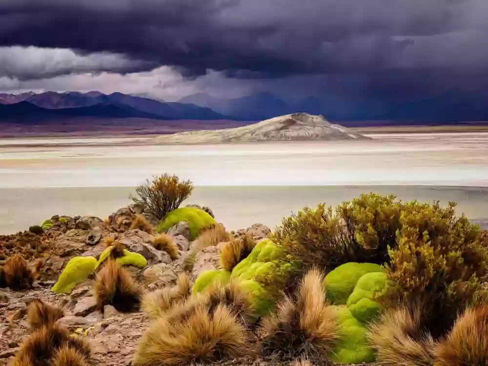 Terres Oubliées Terres Oubliées