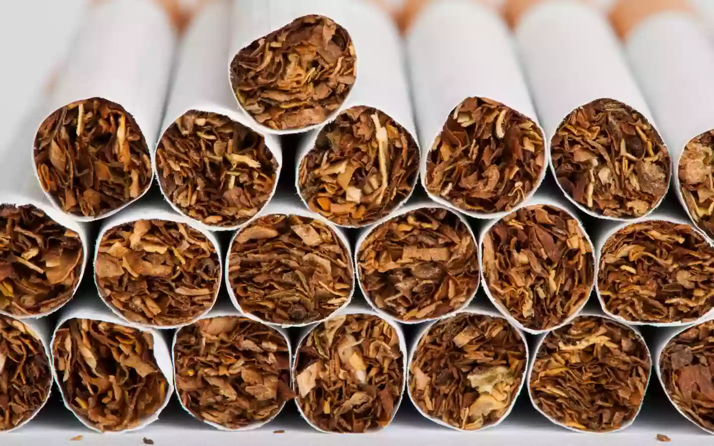 Tabac snc mellia Tabac snc mellia