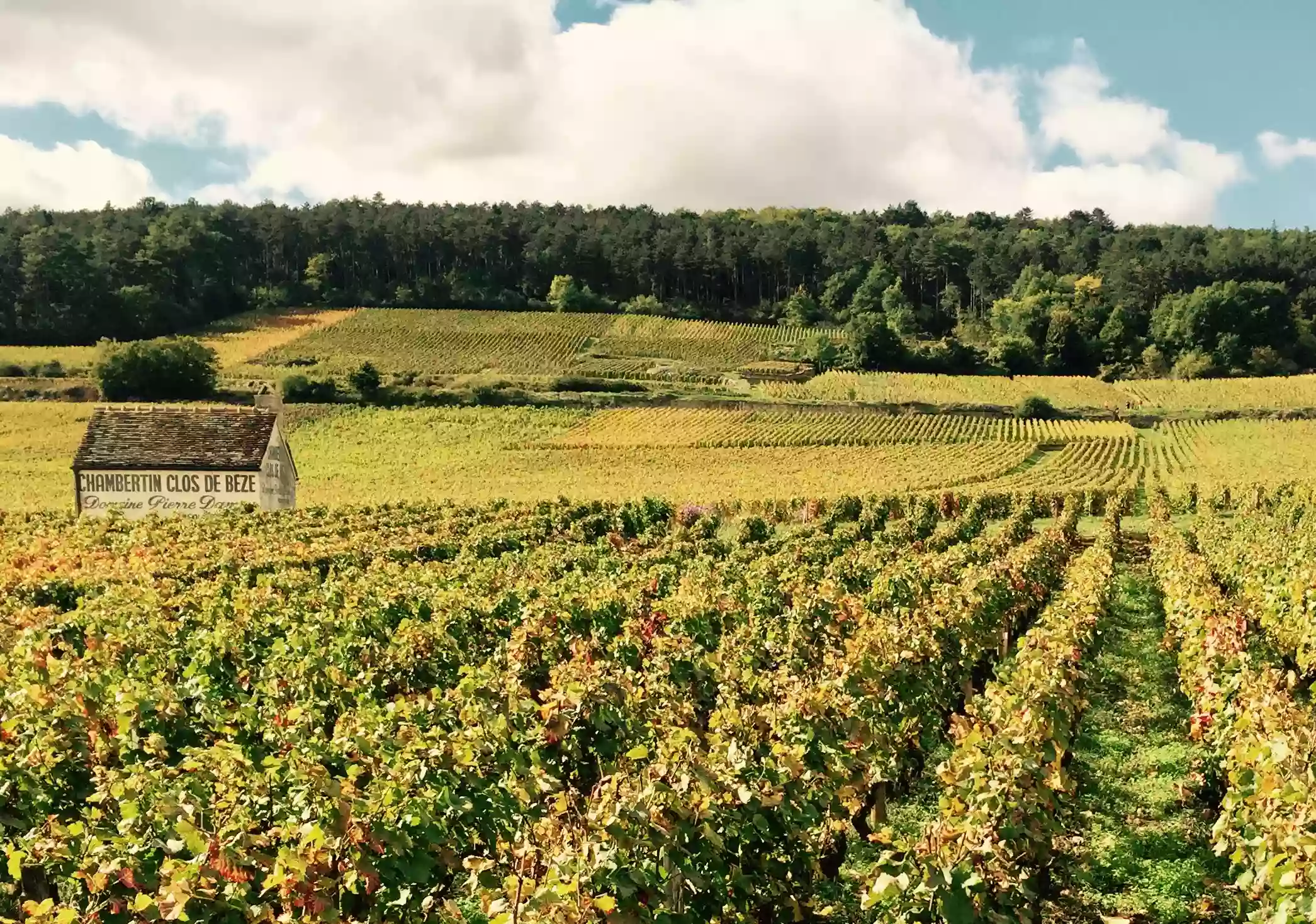 Le Couvent des Climats Le Couvent des Climats