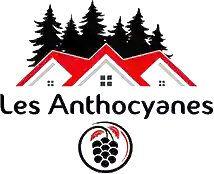 les anthocyanes les anthocyanes