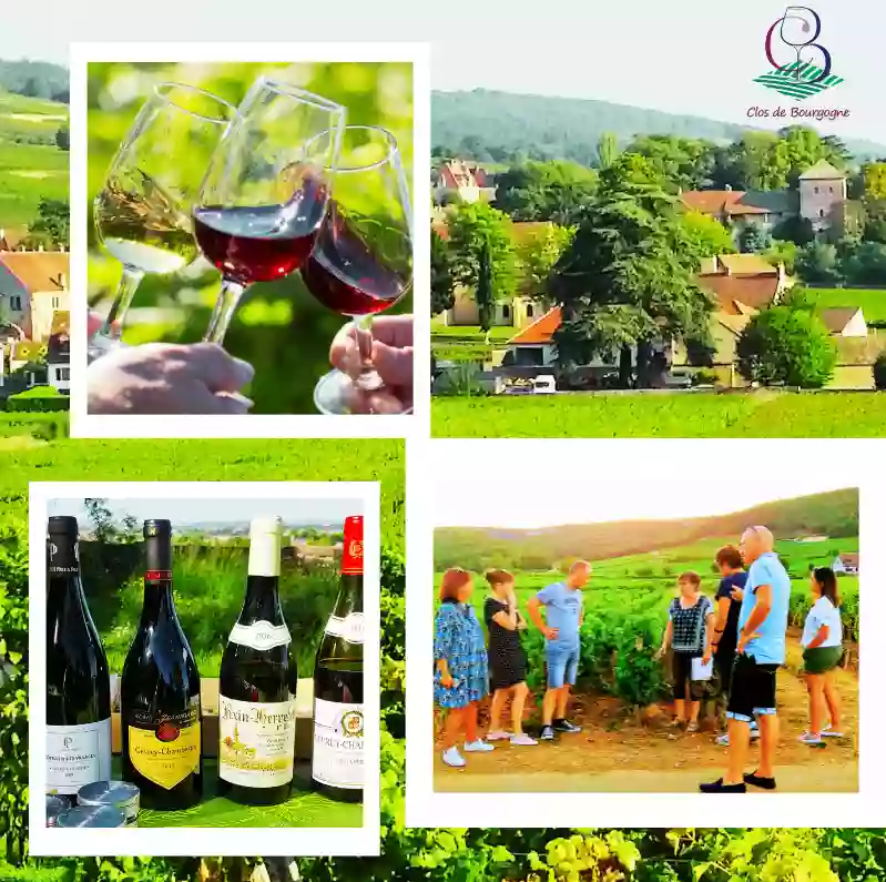 Clos De Bourgogne Clos De Bourgogne