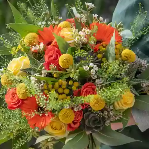 Le Berre Fleurs Le Berre Fleurs