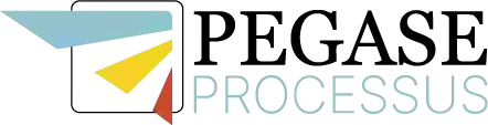 Pegase Processus Pegase Processus