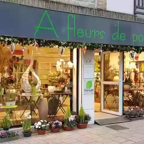A Fleurs de Pot