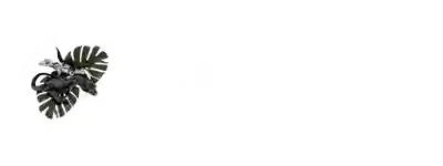 le9reptiles le9reptiles