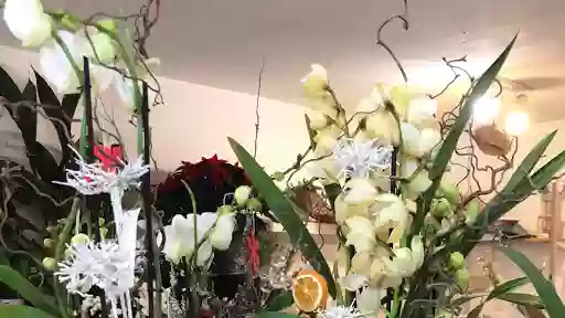 Maquis Fleurs Maquis Fleurs