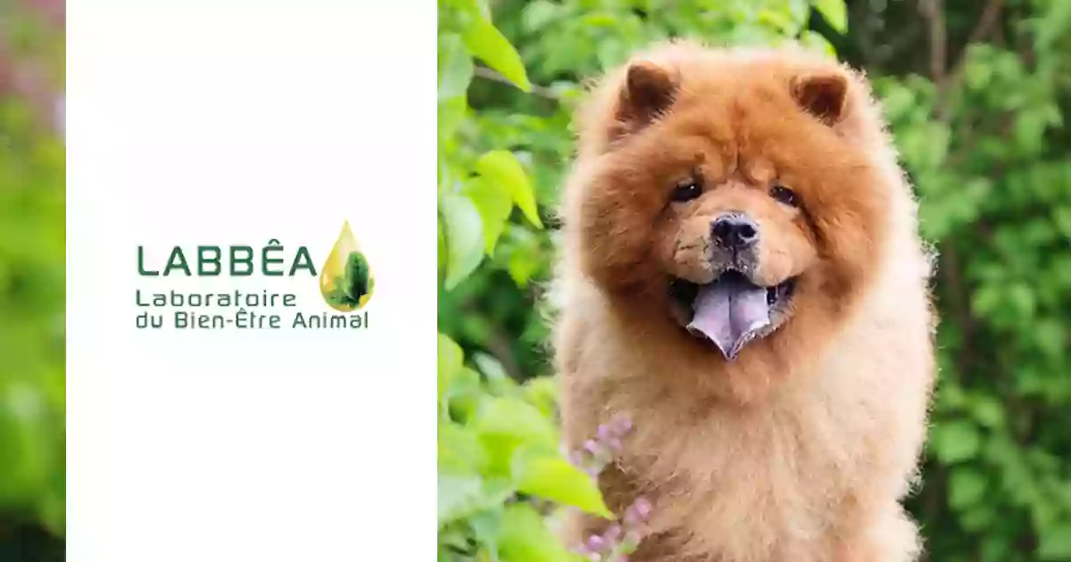 LABBÊA LABBÊA