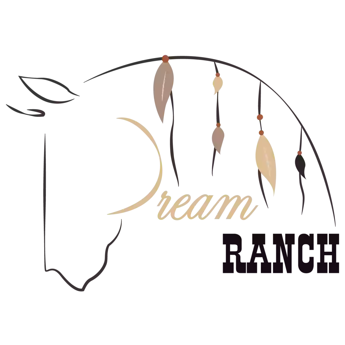 Dream Ranch Dream Ranch