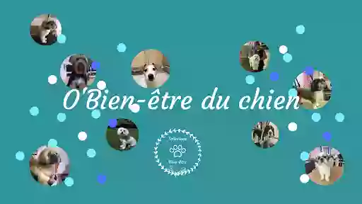 O'Bien-être du chien O'Bien-être du chien