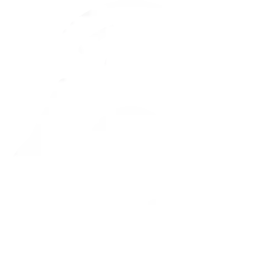 RM AUTO SERVICES RM AUTO SERVICES