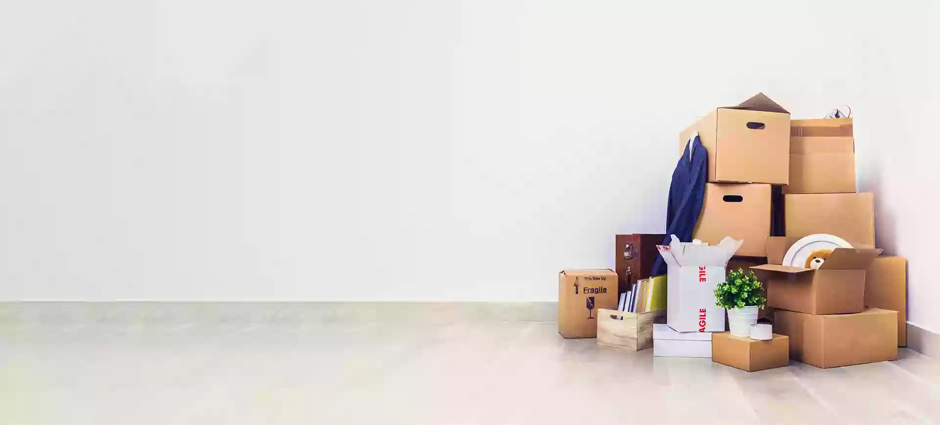 Services Pro Clean Services Pro Clean