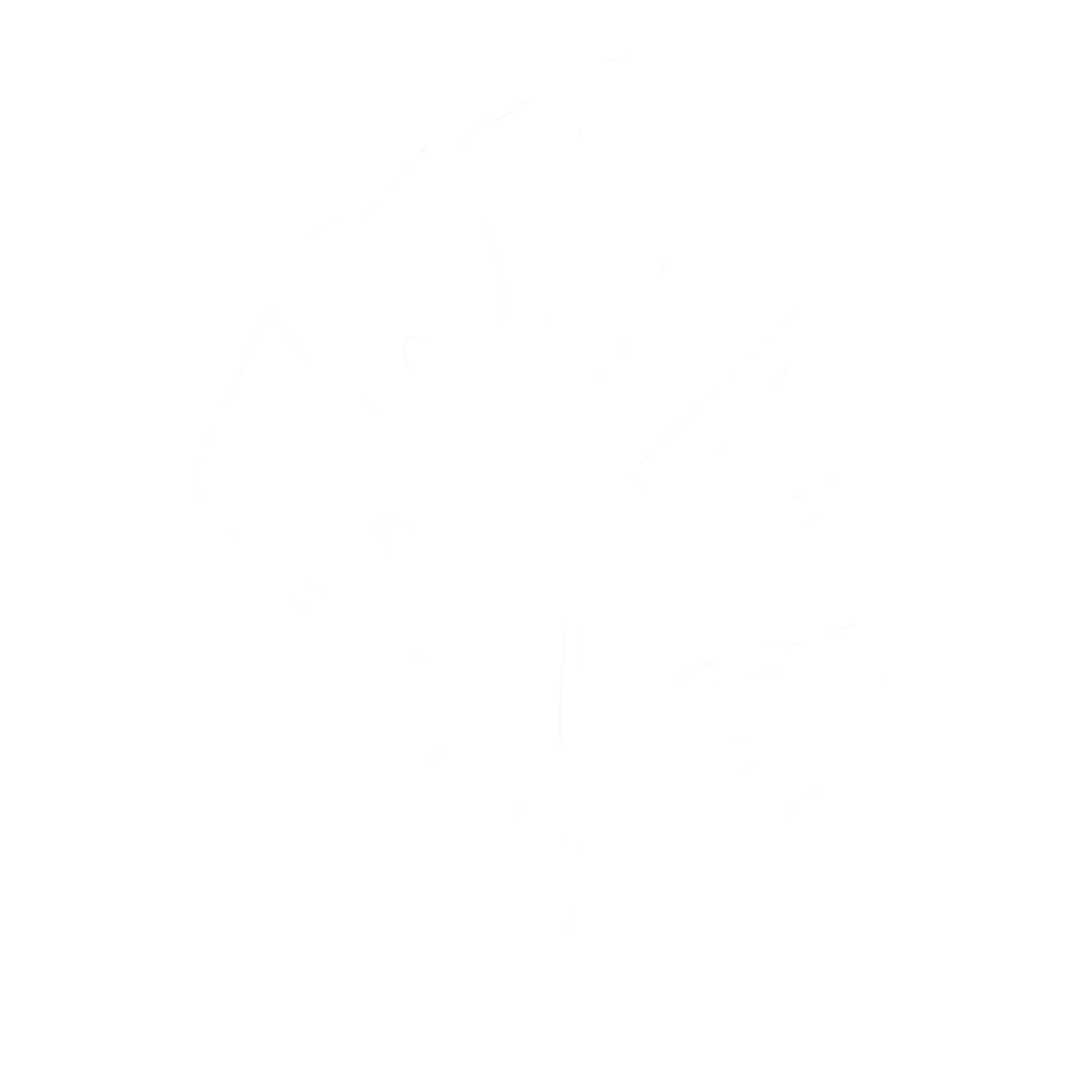 Arum Fleurs Arum Fleurs