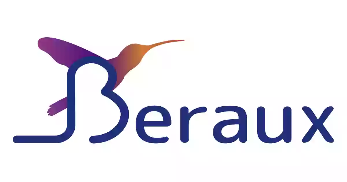 Beraux Immobilier Beraux Immobilier