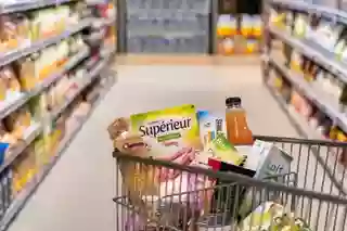 Netto Netto