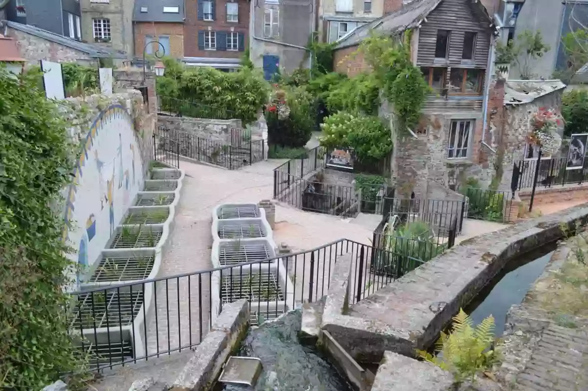 Jardin du Tripot Jardin du Tripot