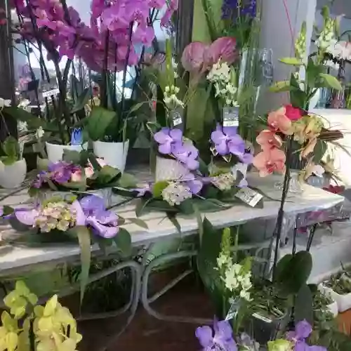 Golain Fleurs Golain Fleurs
