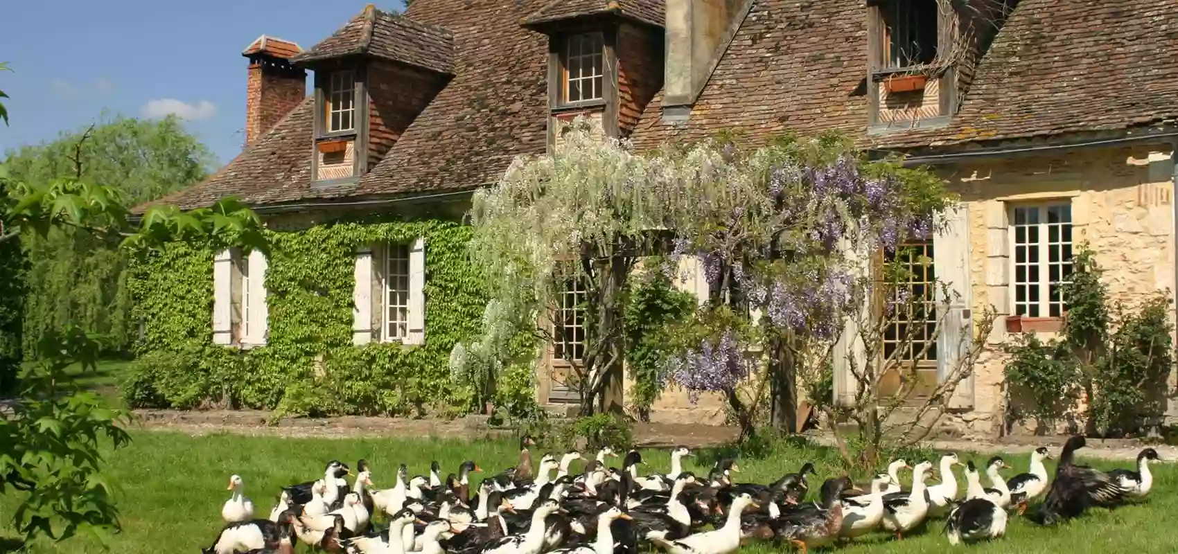 La Ferme de Biorne La Ferme de Biorne