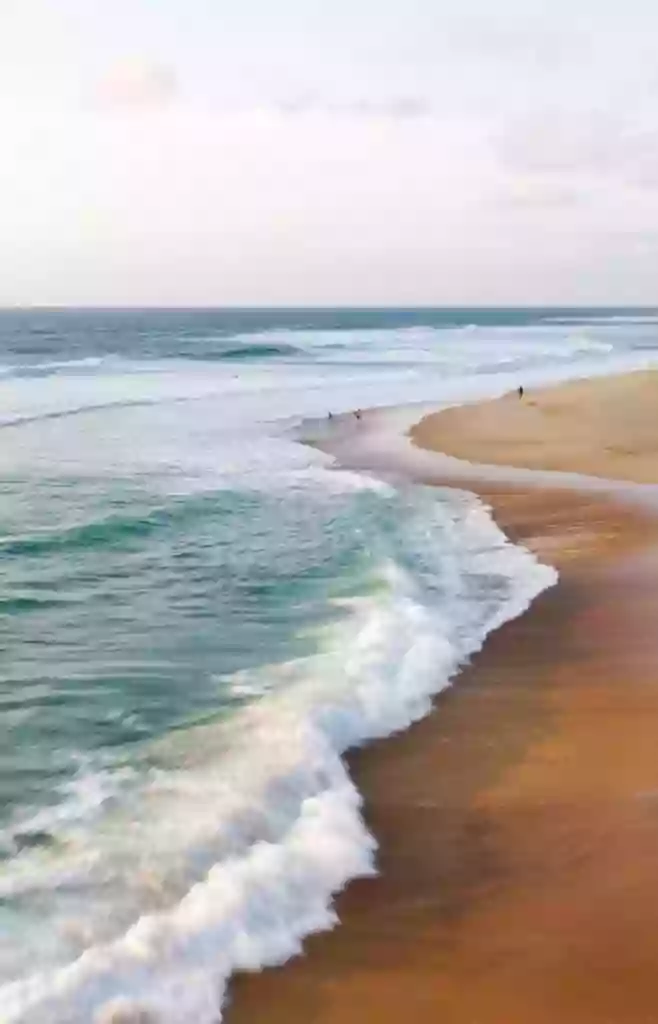 Le Shaka - Seignosse Plage Le Shaka - Seignosse Plage