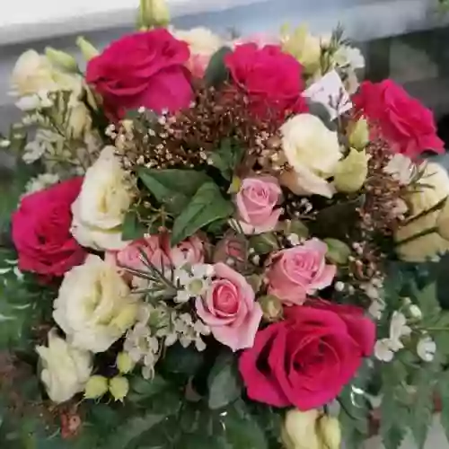 Fleurs de Coton Coutras Fleurs de Coton Coutras