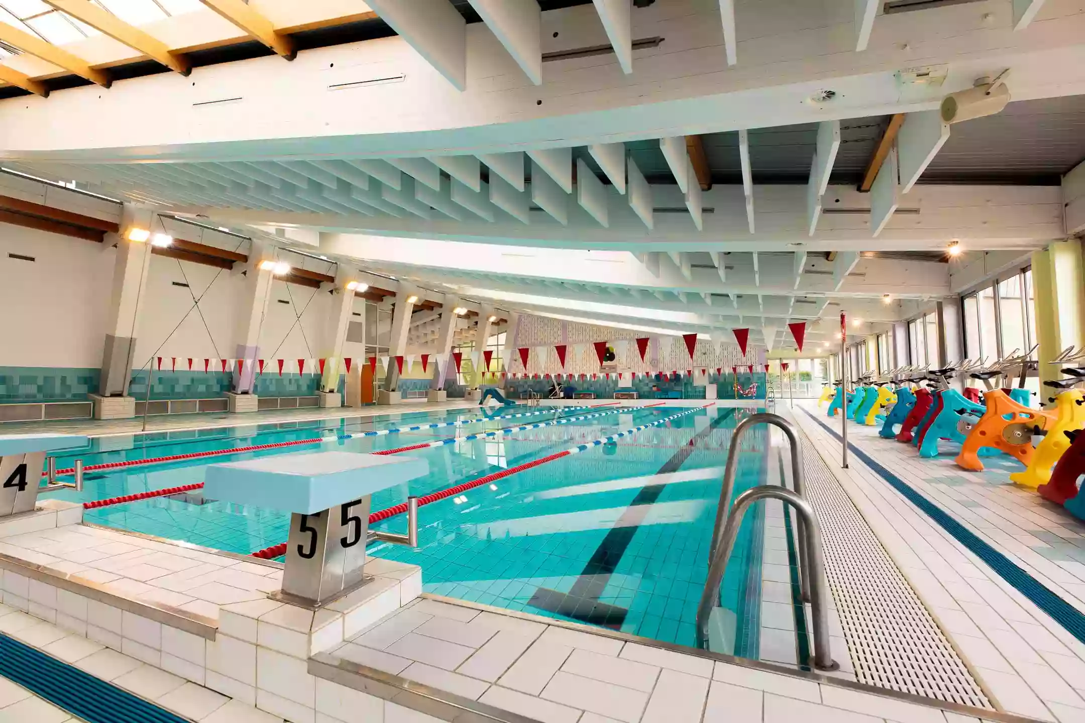 Piscine municipale Piscine municipale