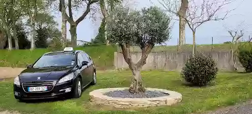Taxi Patou Taxi Patou