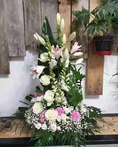 Le jardin d'Oya Le jardin d'Oya
