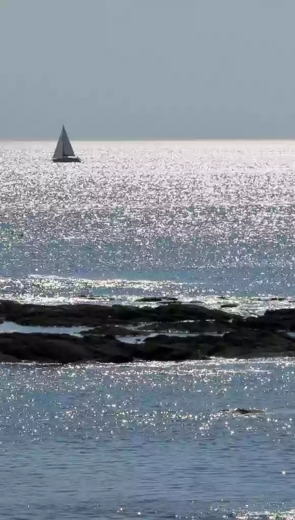 Vitamin Sea Vitamin Sea