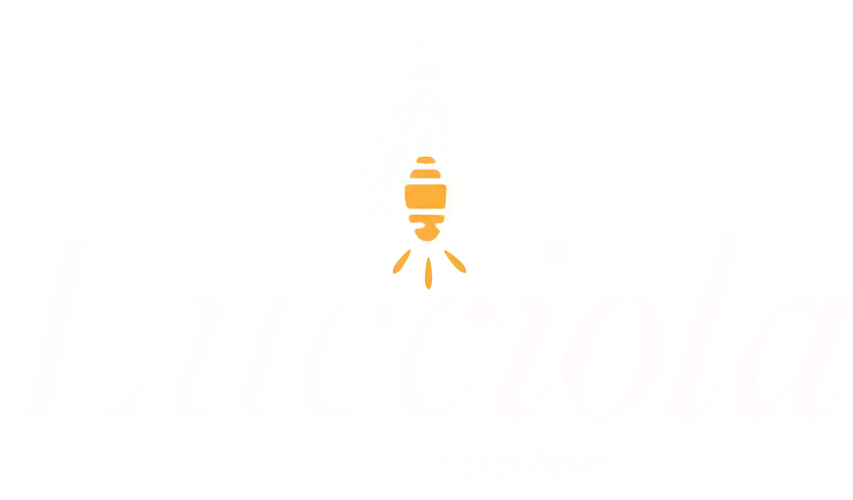 Lucciola Trattoria Lucciola Trattoria