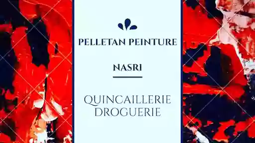 Pelletan peinture nasri Pelletan peinture nasri