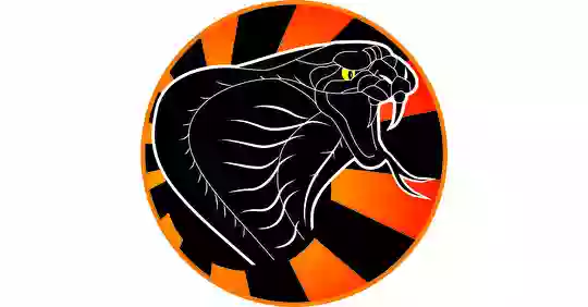 COBRA KAÏ COMBAT COBRA KAÏ COMBAT