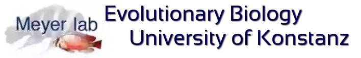 Evolutionsbiologie Uni Konstanz Evolutionsbiologie Uni Konstanz