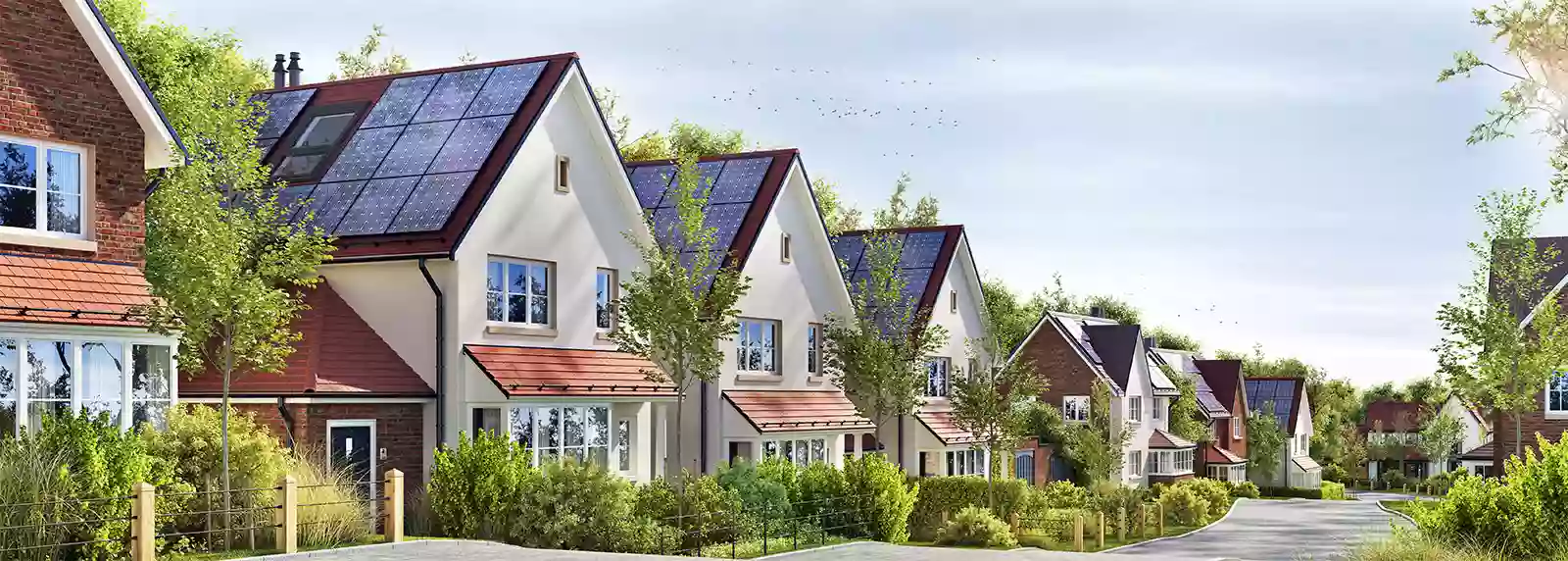 Blancke Immobilien Blancke Immobilien