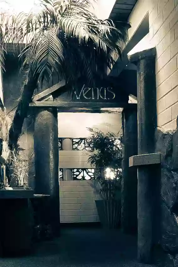 Nachtclub Venus Nachtclub Venus