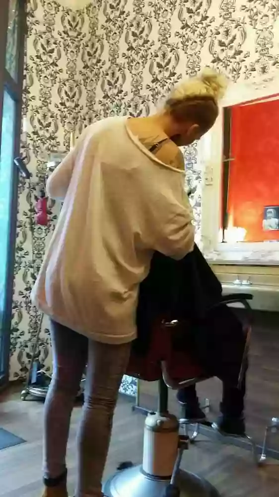 Volxschopf Volxschopf