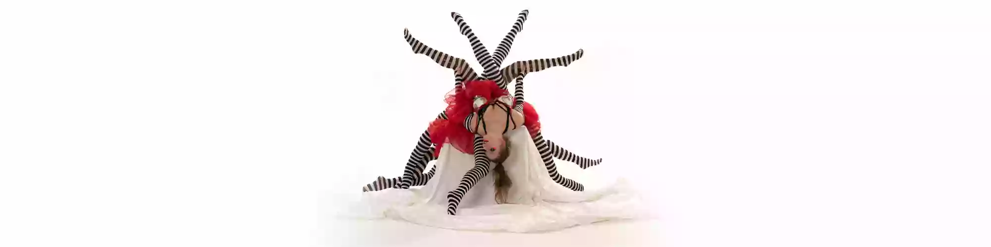 Vanessa Lee Baisch