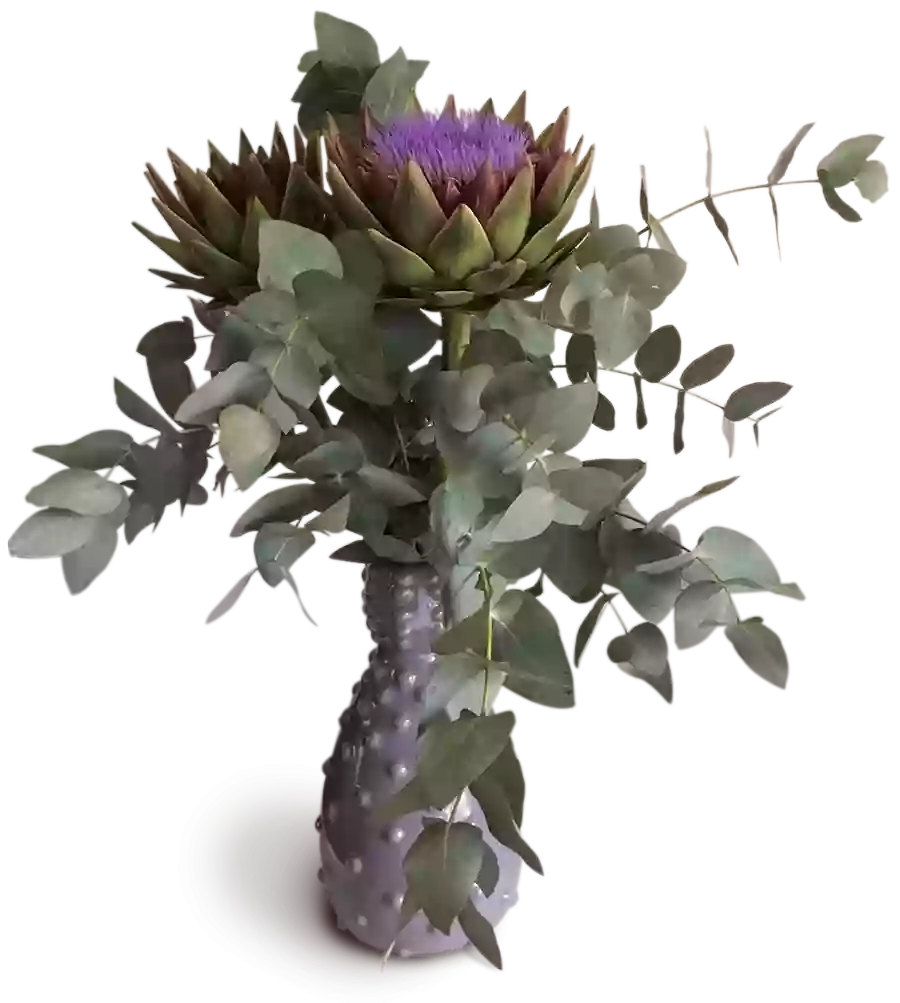 Heilblumen